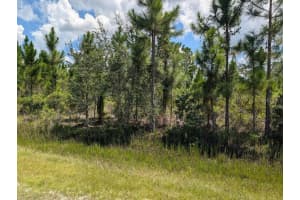 311 HIBISCUS DRIVE, INDIAN LAKE ESTATES, FL 33855 - MLS#MFRTB8417626
