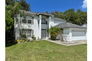 7051 Woodibis Dr, NEW PORT RICHEY