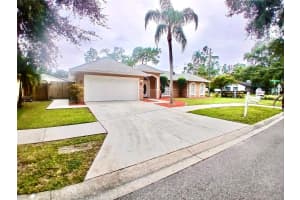 1314 CARISSA COURT, TAMPA, FL 33604 - MLS#MFRTB8417638