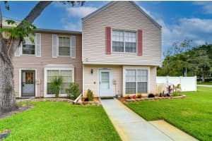 16335 Rambling Vine Dr W, TAMPA