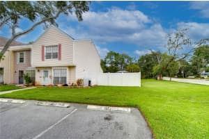 16335 RAMBLING VINE DRIVE, TAMPA, FL 33624 - MLS#MFRTB8417645