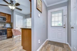 16335 RAMBLING VINE DRIVE, TAMPA, FL 33624 - MLS#MFRTB8417645