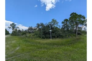 424 GAILLARDIA DRIVE, INDIAN LAKE ESTATES, FL 33855 - MLS#MFRTB8417663