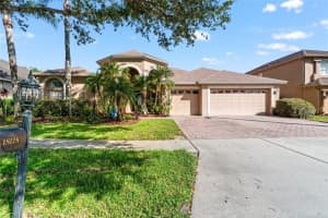 18118 Diamond Cove Ct, TAMPA
