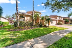 18118 DIAMOND COVE COURT, TAMPA, FL 33647 - MLS#MFRTB8417668