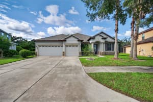 7945 HAMPTON LAKE DRIVE, TAMPA, FL 33647 - MLS#MFRTB8417675