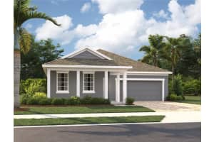 2597 Broadwing St, KISSIMMEE