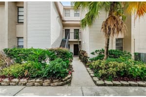 4909 Puritan Cir #2202, TAMPA