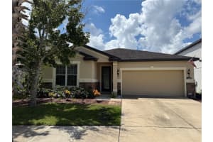 11229 Spring Point Cir, RIVERVIEW