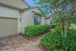 17124 BALANCE COVE, LAND O LAKES, FL 34638 - MLS#MFRTB8417708