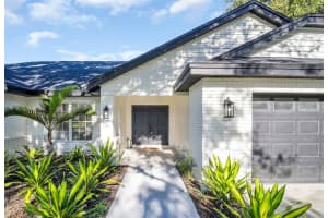 2830 RESNIK CIRCLE, PALM HARBOR, FL 34683 - MLS#MFRTB8417724