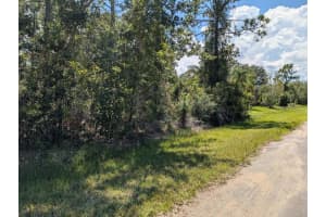 701 INDIAN LAKE DRIVE, INDIAN LAKE ESTATES, FL 33855 - MLS#MFRTB8417738