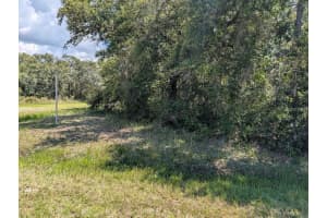 701 INDIAN LAKE DRIVE, INDIAN LAKE ESTATES, FL 33855 - MLS#MFRTB8417738