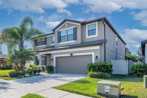 11525 SCARLET IBIS PLACE, RIVERVIEW, FL 33569 - MLS#MFRTB8417748