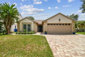 4923 Cypress Trace Dr, TAMPA