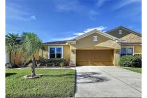 30449 Lettingwell Cir, WESLEY CHAPEL