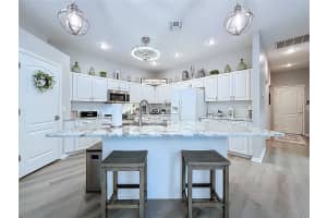 30449 LETTINGWELL CIRCLE, WESLEY CHAPEL, FL 33543 - MLS#MFRTB8417799