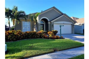 10516 Peppergrass Ct, TRINITY