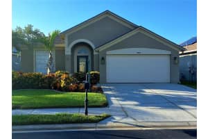 10516 PEPPERGRASS COURT, TRINITY, FL 34655 - MLS#MFRTB8417852