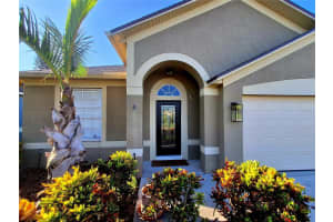 10516 PEPPERGRASS COURT, TRINITY, FL 34655 - MLS#MFRTB8417852