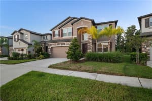 16140 MONTEREY GREENS CIRCLE, TAMPA, FL 33647 - MLS#MFRTB8417858