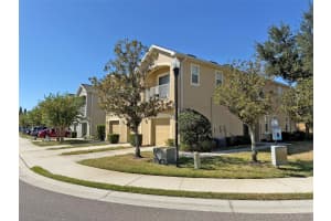8903 MOONLIT MEADOWS LOOP, RIVERVIEW, FL 33578 - MLS#MFRTB8417872