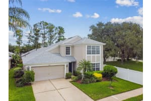 5328 War Admiral Dr, WESLEY CHAPEL