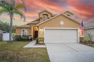 31141 Harthorn Ct, WESLEY CHAPEL