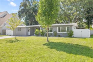 4106 W Mckay Ave, TAMPA