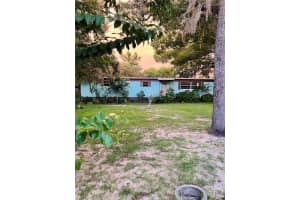 17222 Dansville Dr, SPRING HILL