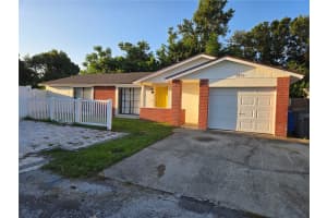 9710 Whistler Ct, TAMPA
