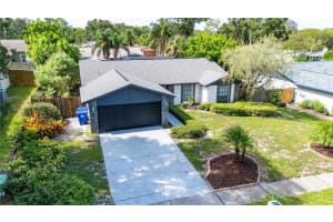 1646 Castlewood Ln, PALM HARBOR