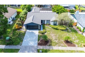 1646 CASTLEWOOD LANE, PALM HARBOR, FL 34683 - MLS#MFRTB8417911