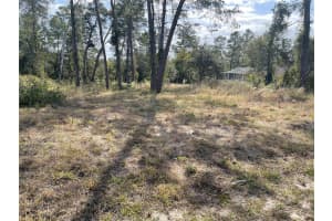 2394 LEMA DR, SPRING HILL, FL 34609 - MLS#MFRTB8417914