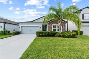 11448 Alachua Creek Ln, RIVERVIEW