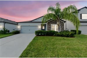11448 ALACHUA CREEK LANE, RIVERVIEW, FL 33579 - MLS#MFRTB8417915