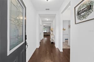 11448 ALACHUA CREEK LANE, RIVERVIEW, FL 33579 - MLS#MFRTB8417915