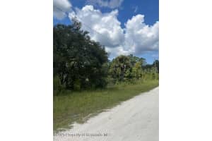 0 0 YELLOW FROG AVENUE, WEEKI WACHEE, FL 34614 - MLS#MFRTB8417916
