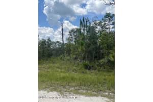 0 0 YELLOW FROG AVENUE, WEEKI WACHEE, FL 34614 - MLS#MFRTB8417916
