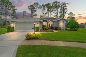 18714 DOVE HOLLOW COURT, HUDSON, FL 34667 Sold 09/15/25