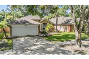5650 Paddock Trail Dr, TAMPA