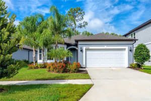 20948 MONZA LOOP, LAND O LAKES, FL 34638 - MLS#MFRTB8417975