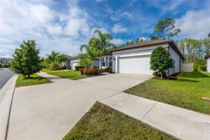 20948 MONZA LOOP, LAND O LAKES, FL 34638 - MLS#MFRTB8417975