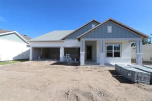 31537 HAYMAN LOOP, WESLEY CHAPEL, FL 33545 - MLS#MFRTB8417985
