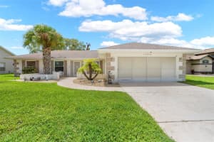 10470 Audie Brook Dr, SPRING HILL