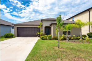 10411 Alder Green Dr, RIVERVIEW
