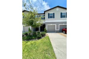 9767 Mulberry Marsh Ln, SUN CITY CENTER