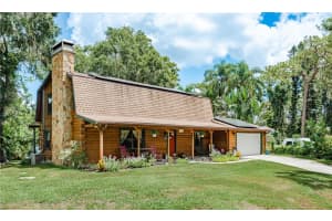 14523 HALFWAY LANE, ODESSA, FL 33556 - MLS#MFRTB8418046