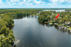 14523 HALFWAY LANE, ODESSA, FL 33556 - MLS#MFRTB8418046