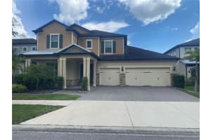 18757 Birchwood Groves Dr, LUTZ